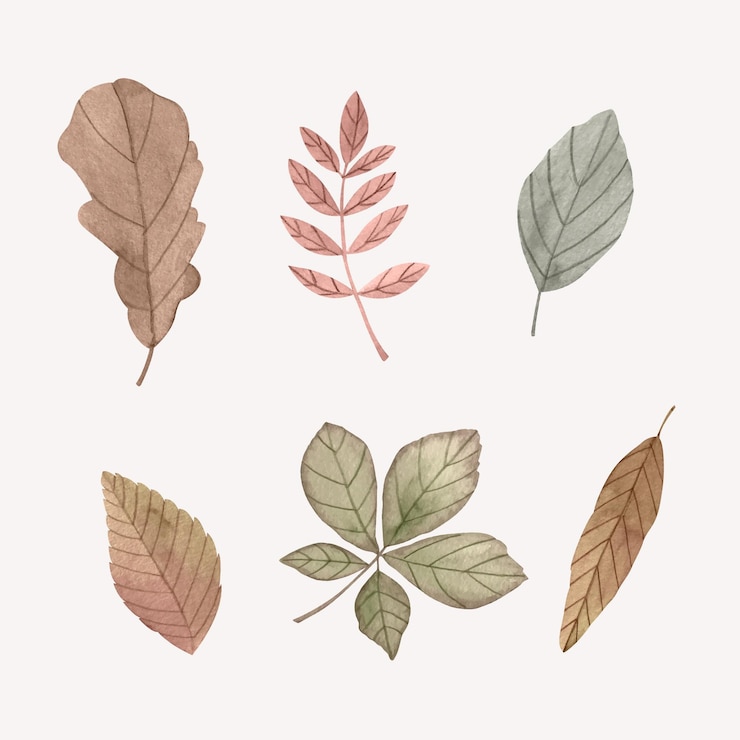 Vector gratuito colección de hojas de otoño en acuarela