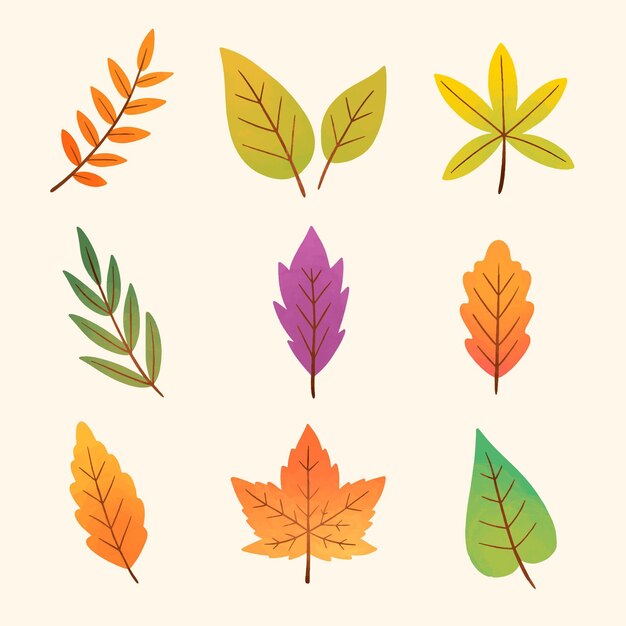 Colección de hojas de otoño en acuarela