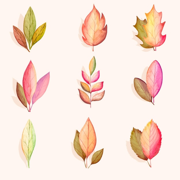 Vector gratuito colección de hojas de otoño acuarela