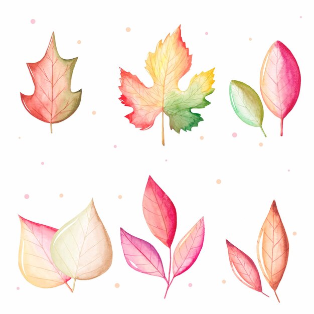 Colección de hojas de otoño acuarela