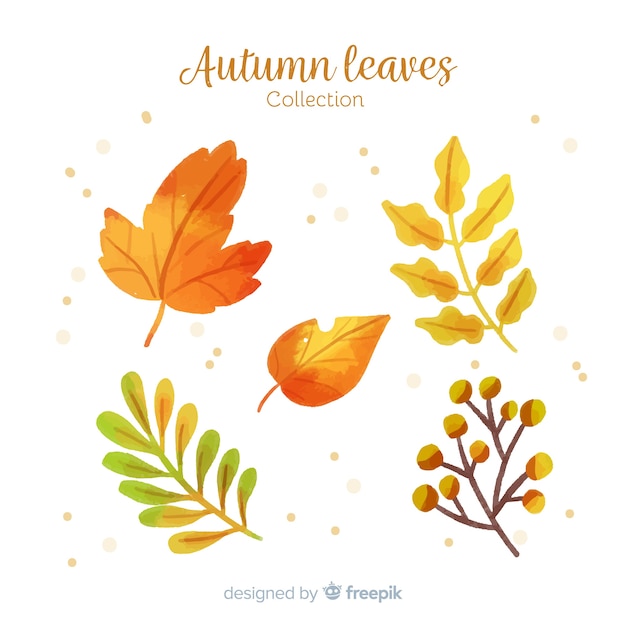 Colección de hojas de otoño acuarelas