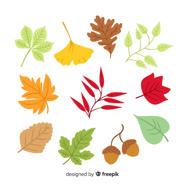 Vector gratuito colección de hojas de otoño dibujadas a mano