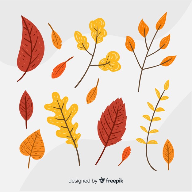Colección de hojas de otoño dibujadas a mano