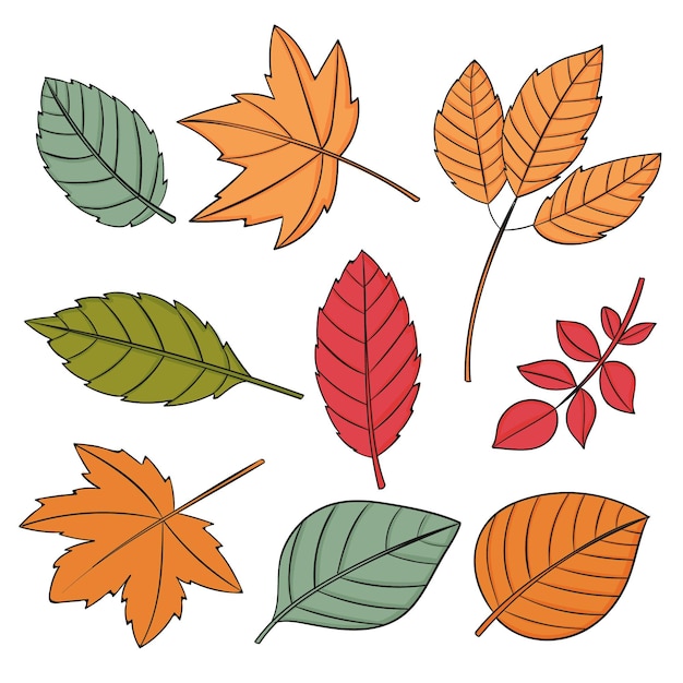 Colección de hojas de otoño dibujadas a mano