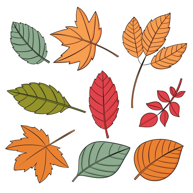 Colección de hojas de otoño dibujadas a mano
