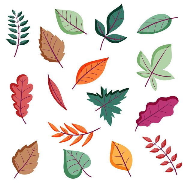 Colección de hojas de otoño dibujadas a mano