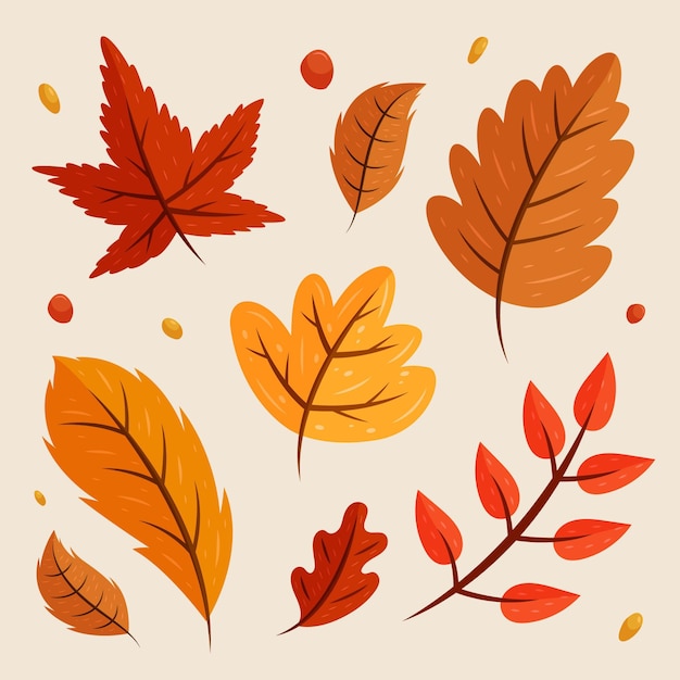 Colección de hojas de otoño dibujadas a mano