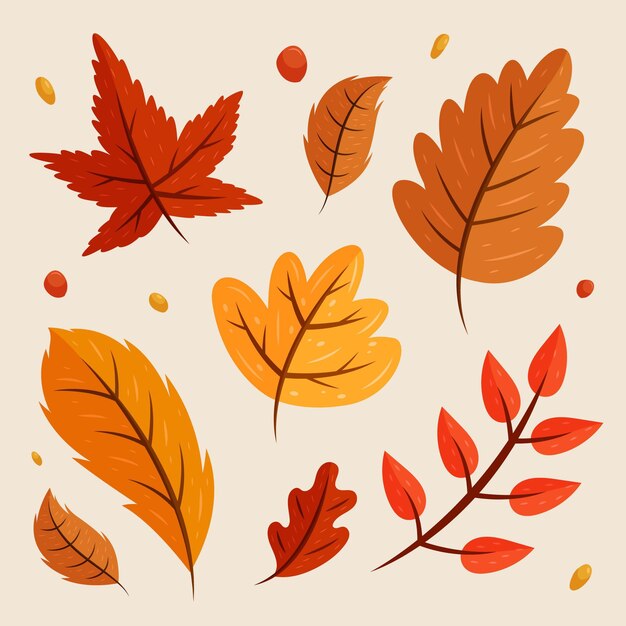 Colección de hojas de otoño dibujadas a mano