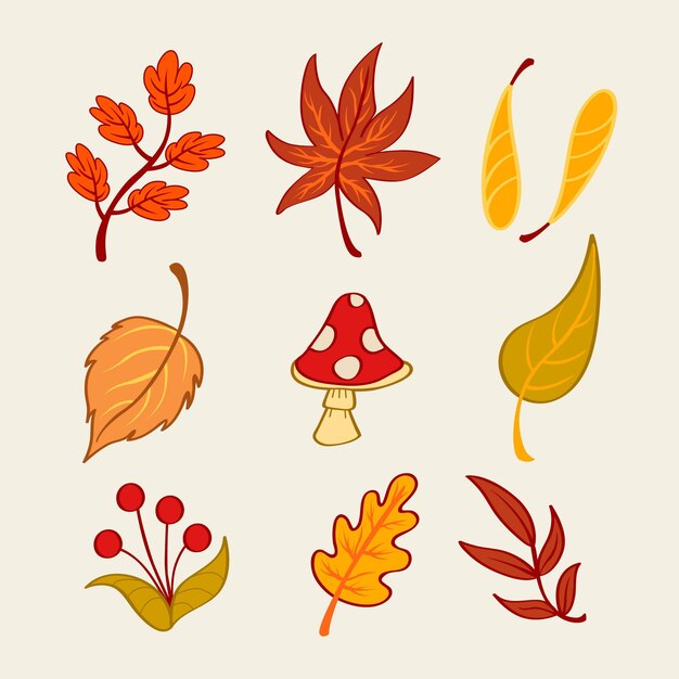 Colección de hojas de otoño dibujadas a mano