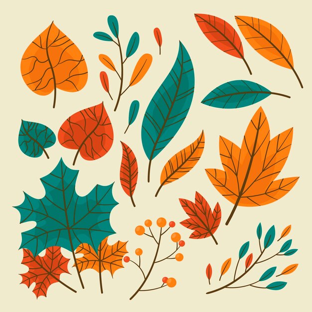 Colección de hojas de otoño dibujadas a mano