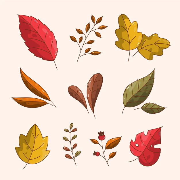 Colección de hojas de otoño dibujadas a mano