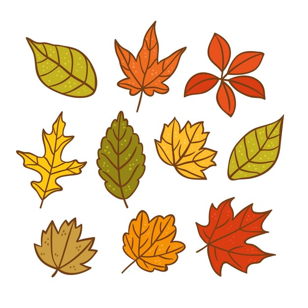 Colección hojas de otoño dibujadas a mano