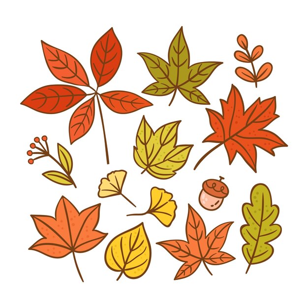 Colección de hojas de otoño dibujadas a mano