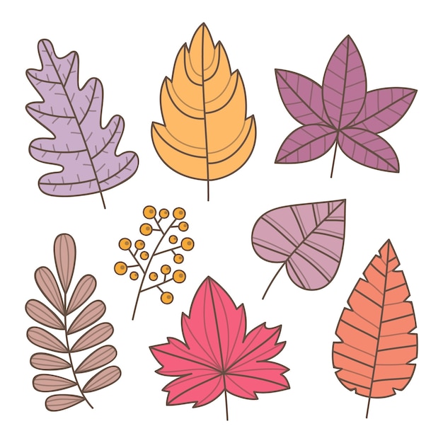 Colección hojas de otoño dibujadas a mano