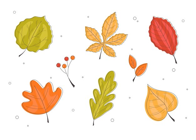 Colección hojas de otoño dibujadas a mano