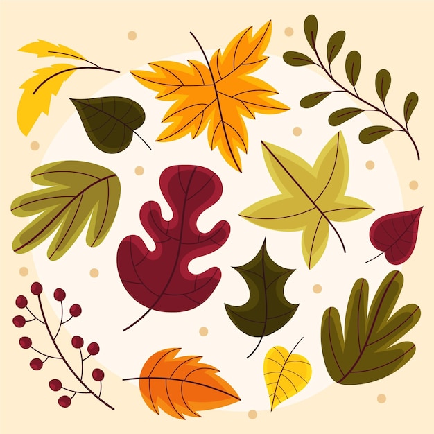 Vector gratuito colección hojas de otoño dibujadas a mano