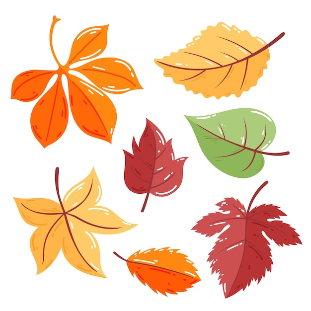 Colección hojas de otoño dibujadas a mano