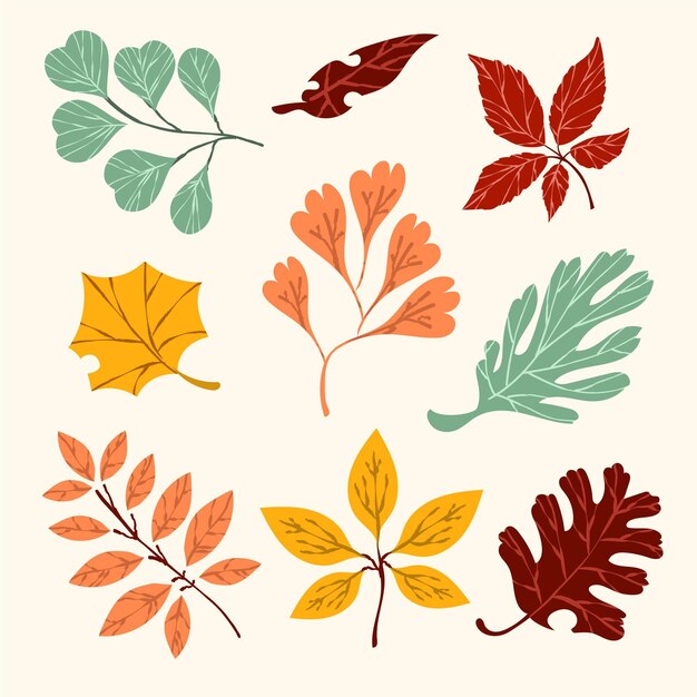 Colección de hojas de otoño dibujadas a mano