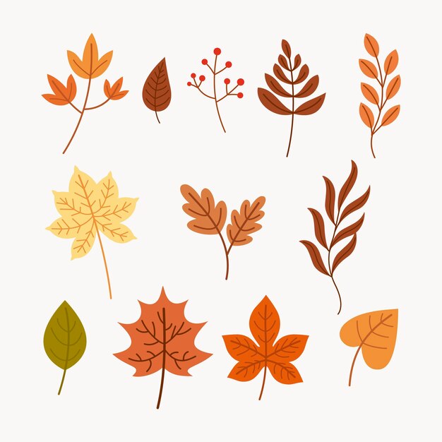Colección de hojas de otoño dibujadas a mano