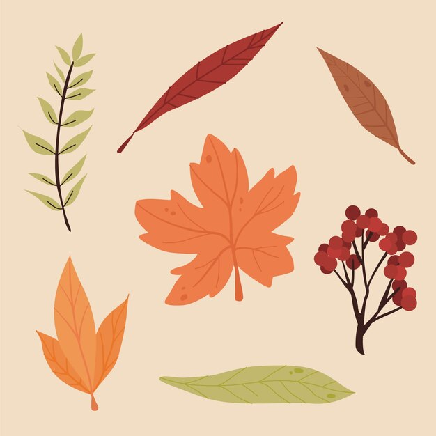 Colección hojas de otoño dibujadas a mano