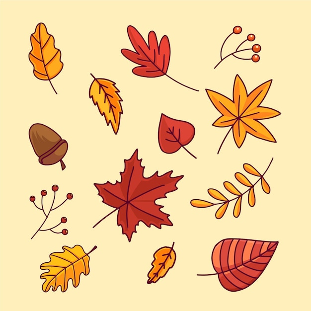 Colección hojas de otoño dibujadas a mano