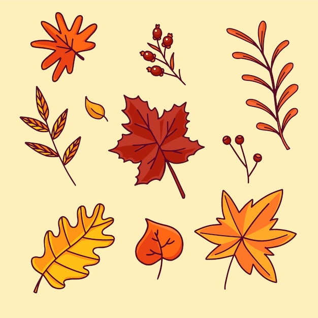 Vector gratuito colección hojas de otoño dibujadas a mano