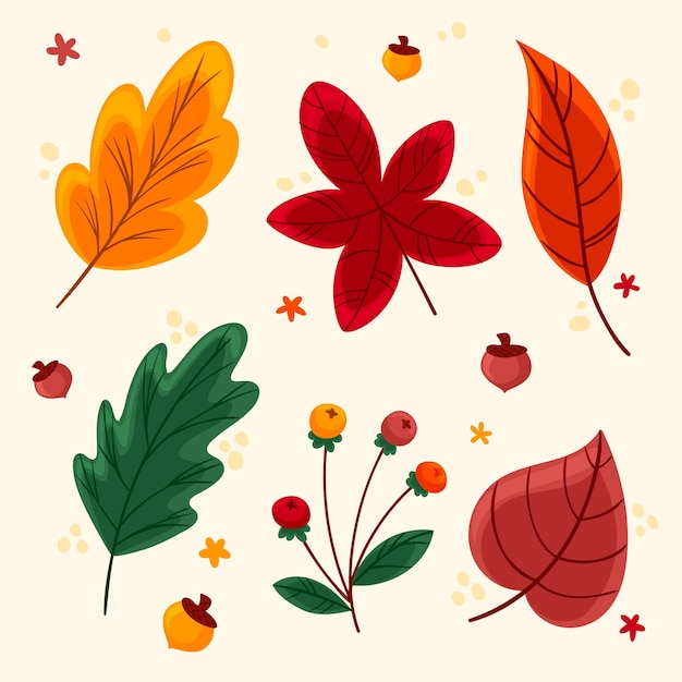 Colección hojas de otoño dibujadas a mano