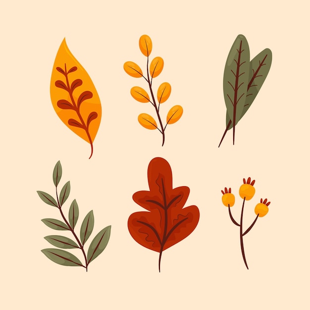 Colección de hojas de otoño dibujadas a mano