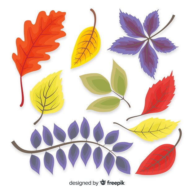 Colección de hojas de otoño dibujado a mano