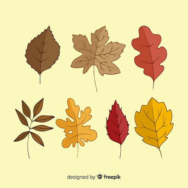 Vector gratuito colección de hojas de otoño dibujados a mano