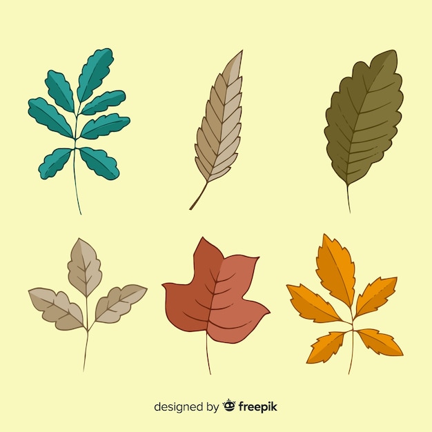 Vector gratuito colección de hojas de otoño dibujados a mano