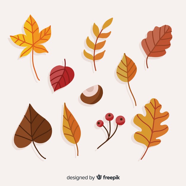 Colección de hojas de otoño dibujados a mano