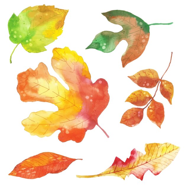 Colección de hojas de otoño de diseño acuarela