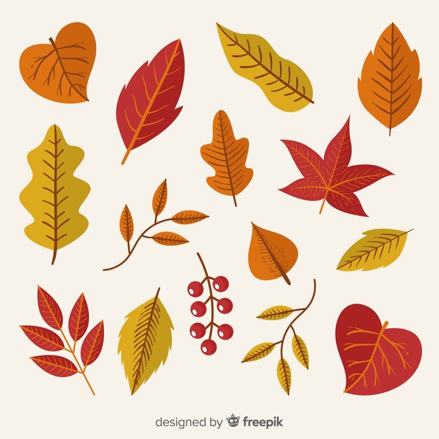 Colección de hojas de otoño diseño dibujado a mano.