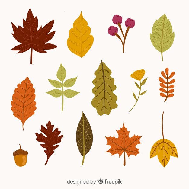 Colección de hojas de otoño diseño dibujado a mano.
