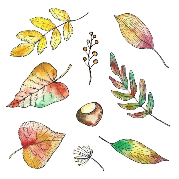 Colección de hojas de otoño de diseño dibujado a mano