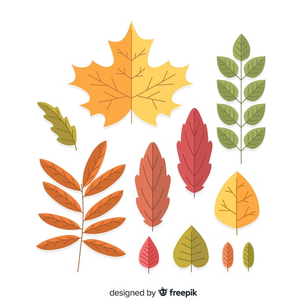 Colección de hojas de otoño de diseño plano.