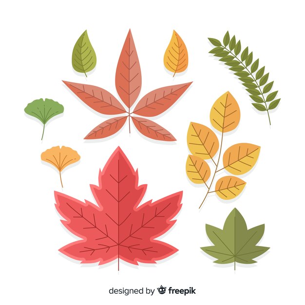 Colección de hojas de otoño de diseño plano.