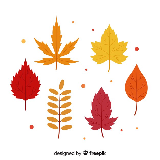 Colección de hojas de otoño en diseño plano