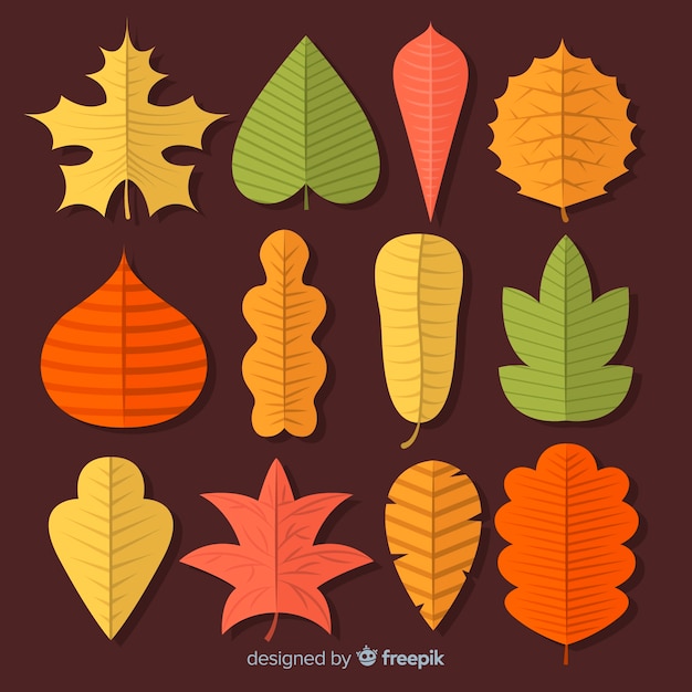 Vector gratuito colección de hojas de otoño en diseño plano