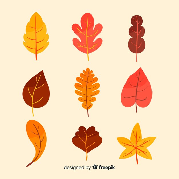 Colección de hojas de otoño en diseño plano