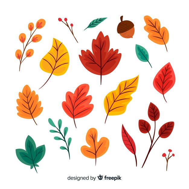 Colección de hojas de otoño en diseño plano