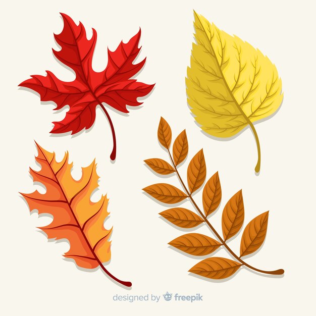 Colección de hojas de otoño en diseño plano