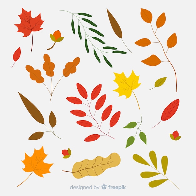 Colección de hojas de otoño en diseño plano