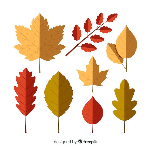 Colección de hojas de otoño en diseño plano