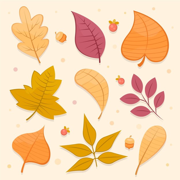 Colección de hojas de otoño de diseño plano