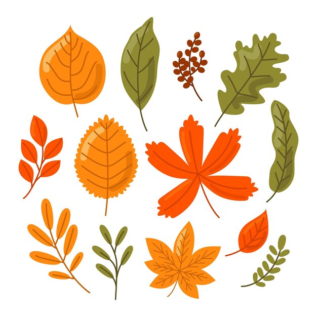 Colección de hojas de otoño de diseño plano