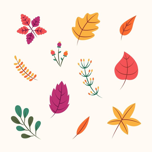 Colección de hojas de otoño de diseño plano