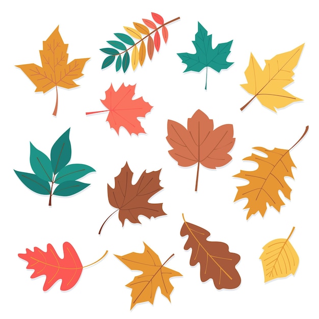 Colección de hojas de otoño de diseño plano