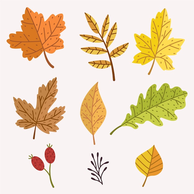 Vector gratuito colección de hojas de otoño de diseño plano